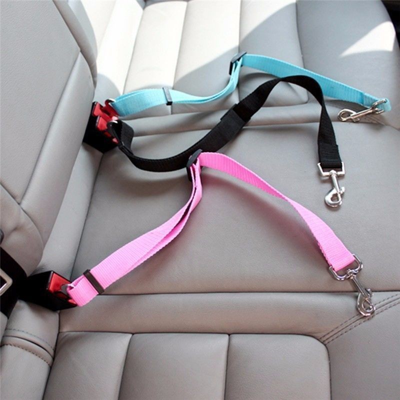 Swing Seat Belt - Pas bezpieczeństwa dla kota do samochodu