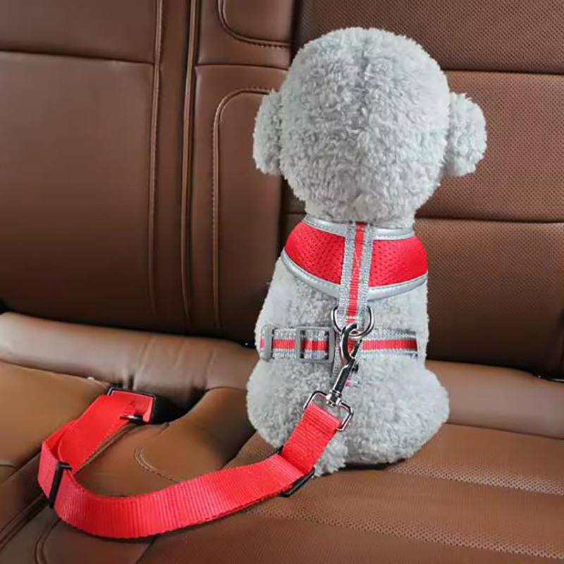 Pasy bezpieczeństwa dla psów,  – Swing Seat Belt recenzja i cena