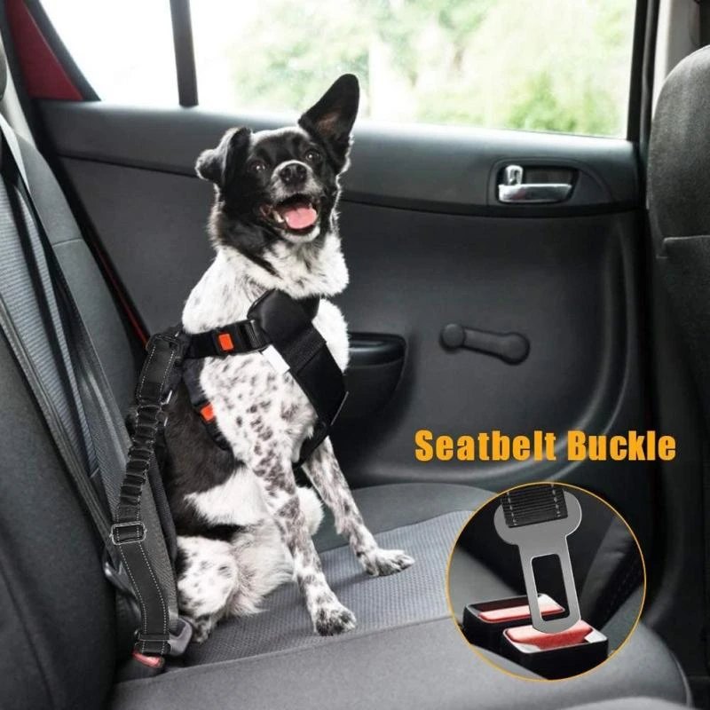 Regulowany pas bezpieczeństwa  – Swing Seat Belt recenzja i cena