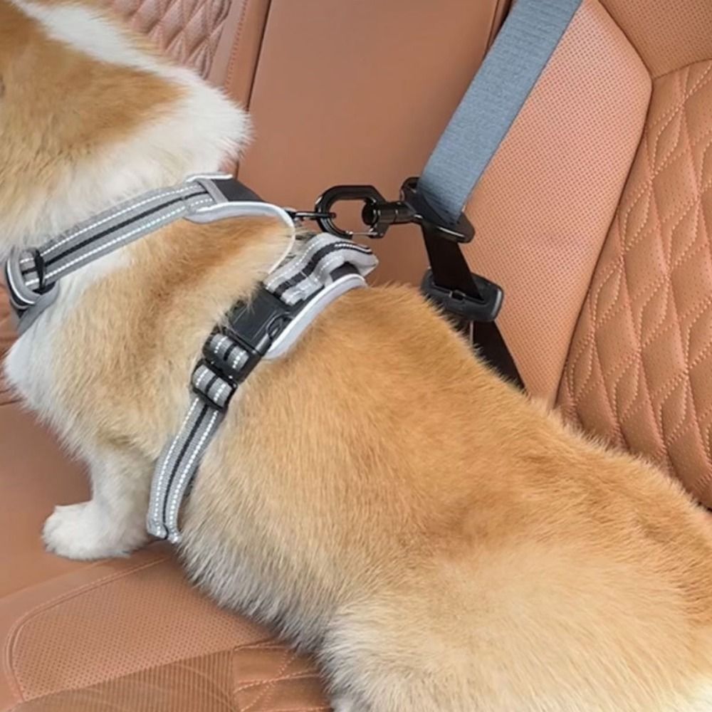 Klamra bezpieczeństwa dla zwie – Swing Seat Belt recenzja i cena