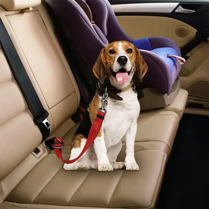 Pas bezpieczeństwa dla psa do  – Swing Seat Belt recenzja i cena