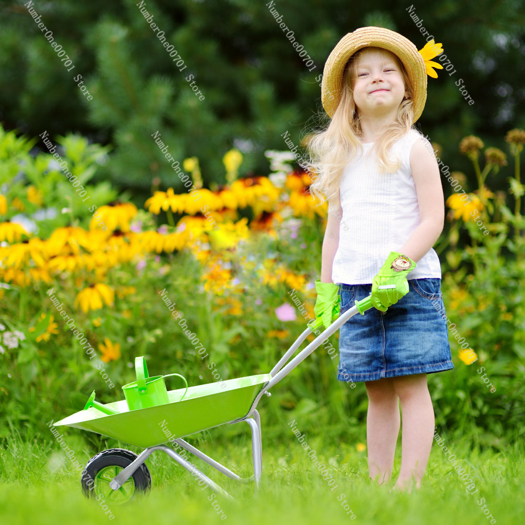 Dziecięca taczka ogrodowa, zie – Kids Outdoor Activity Toys recenzja i cena